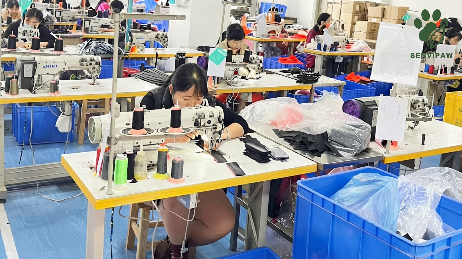 senvipaw Factory photos edm&odm